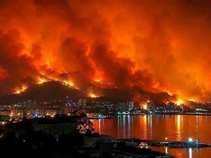 بيان رئيس النادي الاقتصادي الجزائري حول حرائق الغابات