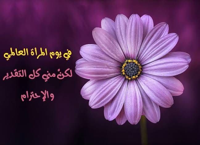 تهنئة بمناسبة اليوم العالمي للمرأة